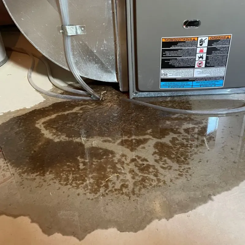 Pipe Burst and Leak Restoration in Cumberland Hill, RI